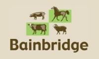 Bainbridge Animal Health Supplies & Supplements for Dalby and Toowoomba